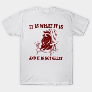 It Is What It Is And It Is Not Great Raccoon T-Shirt